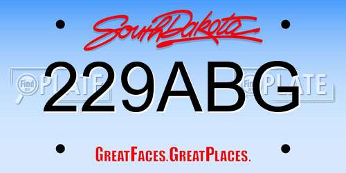 229ABG South Dakota License Plate