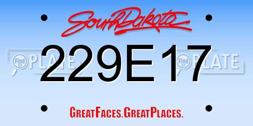 229E17 South Dakota License Plate