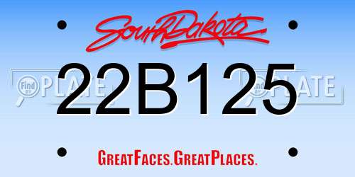 22B125 South Dakota License Plate