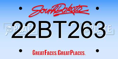 22BT263 South Dakota License Plate