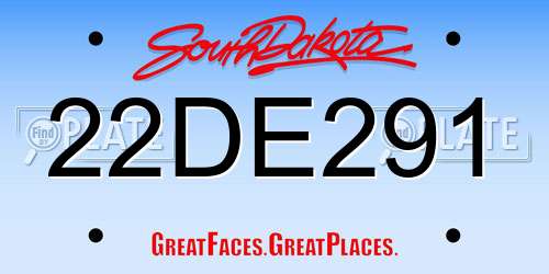22DE291 South Dakota License Plate