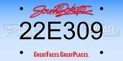 22E309 South Dakota License Plate