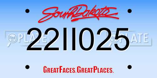 22II025 South Dakota License Plate