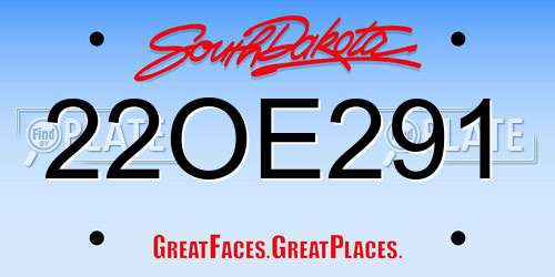 22OE291 South Dakota License Plate
