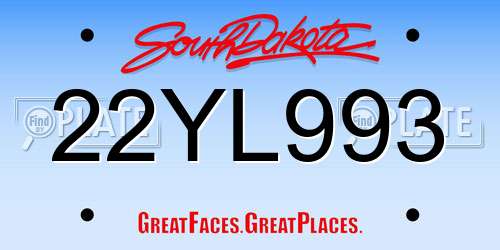22YL993 South Dakota License Plate