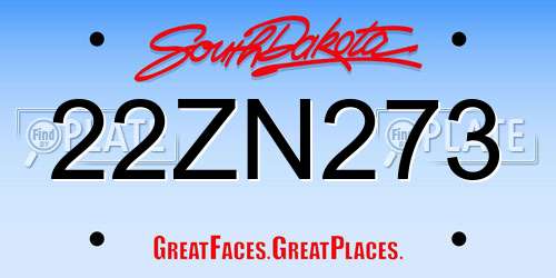 22ZN273 South Dakota License Plate