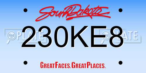 230KE8 South Dakota License Plate
