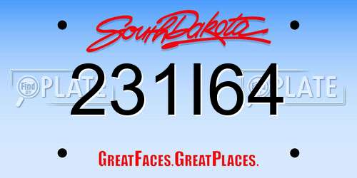 231I64 South Dakota License Plate