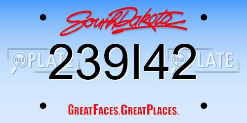 239I42 South Dakota License Plate