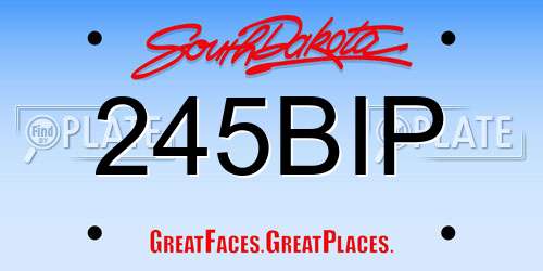 245BIP South Dakota License Plate