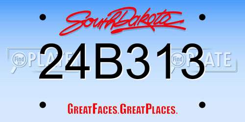 24B313 South Dakota License Plate