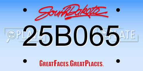 25B065 South Dakota License Plate