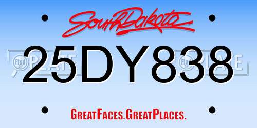 25DY838 South Dakota License Plate