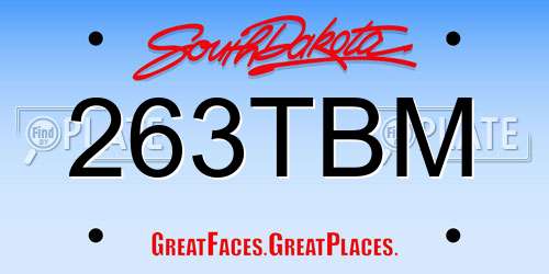 263TBM South Dakota License Plate