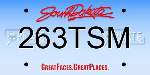 263TSM South Dakota License Plate