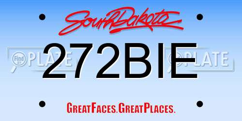 272BIE South Dakota License Plate