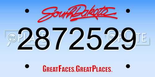 2872529 South Dakota License Plate