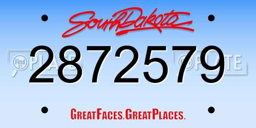 2872579 South Dakota License Plate