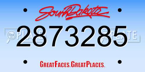 2873285 South Dakota License Plate