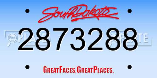 2873288 South Dakota License Plate
