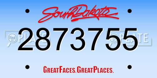 2873755 South Dakota License Plate