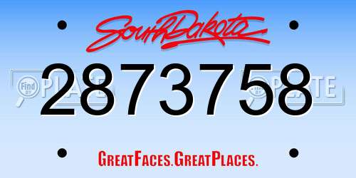 2873758 South Dakota License Plate