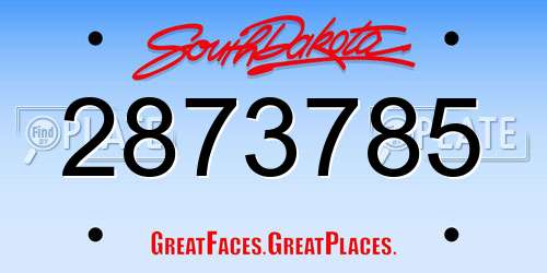 2873785 South Dakota License Plate