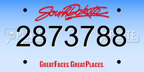 2873788 South Dakota License Plate