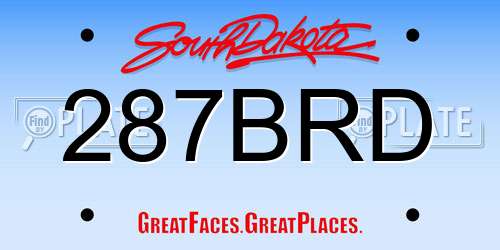 287BRD South Dakota License Plate