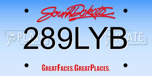 289LYB South Dakota License Plate
