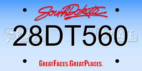 28DT560 South Dakota License Plate