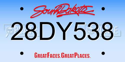 28DY538 South Dakota License Plate