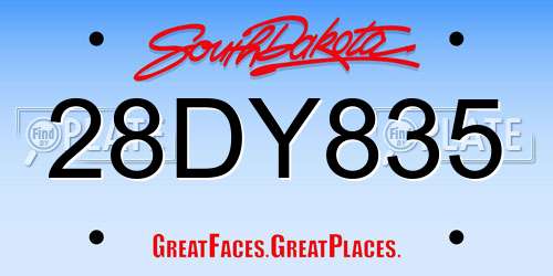 28DY835 South Dakota License Plate