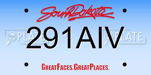 291AIV South Dakota License Plate