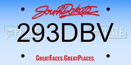 293DBV South Dakota License Plate