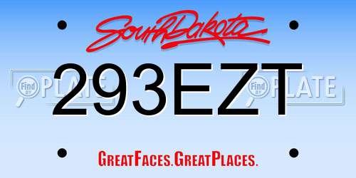 293EZT South Dakota License Plate
