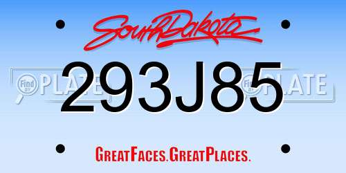 293J85 South Dakota License Plate