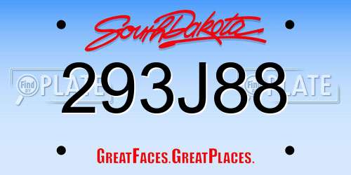 293J88 South Dakota License Plate