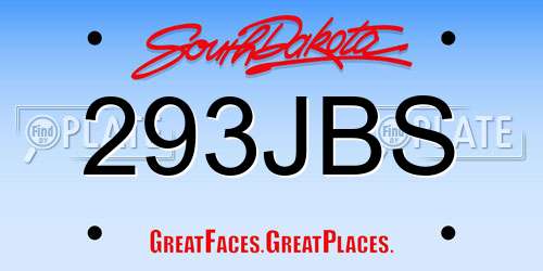 293JBS South Dakota License Plate