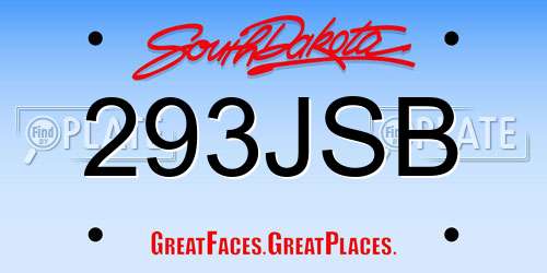 293JSB South Dakota License Plate