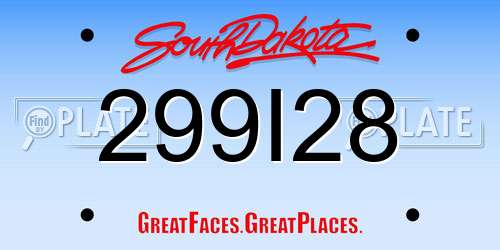 299I28 South Dakota License Plate