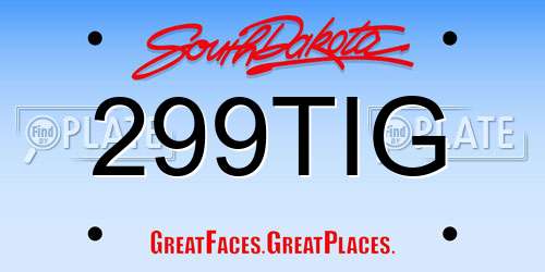 299TIG South Dakota License Plate