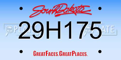 29H175 South Dakota License Plate