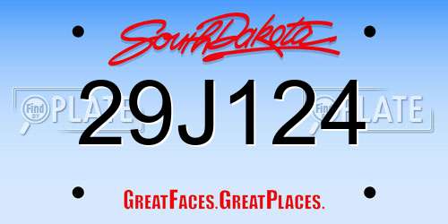 29J124 South Dakota License Plate