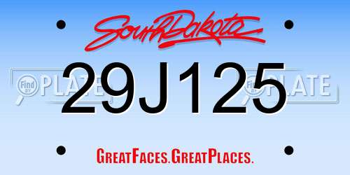 29J125 South Dakota License Plate