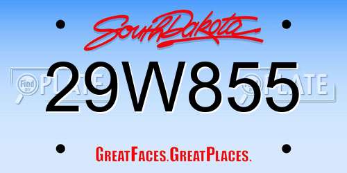 29W855 South Dakota License Plate
