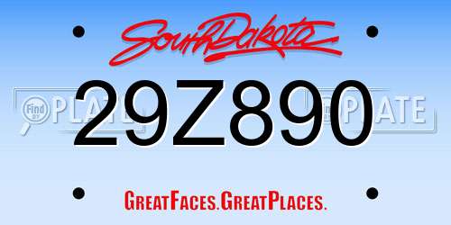 29Z890 South Dakota License Plate