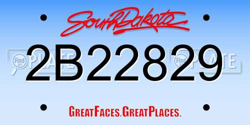 2B22829 South Dakota License Plate