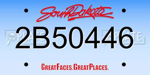 2B50446 South Dakota License Plate