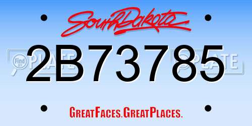 2B73785 South Dakota License Plate